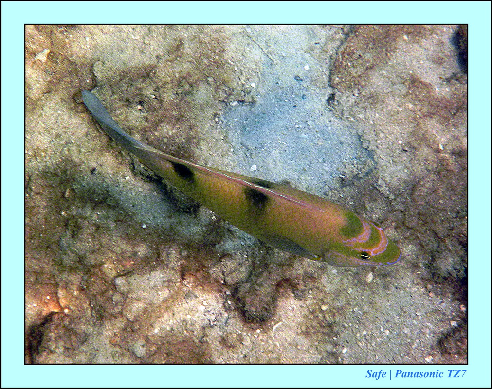 2013 - 01 - Koh Poda 15